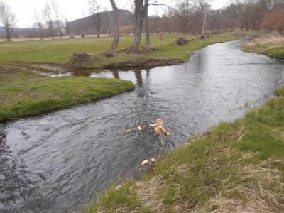 Vítáme jaro s vodníkem a Jarněnkou