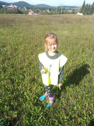 Šikovné ručičky září 2022 - Včeličky