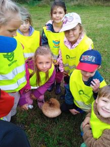 Ohlédnutí za říjnem 2025